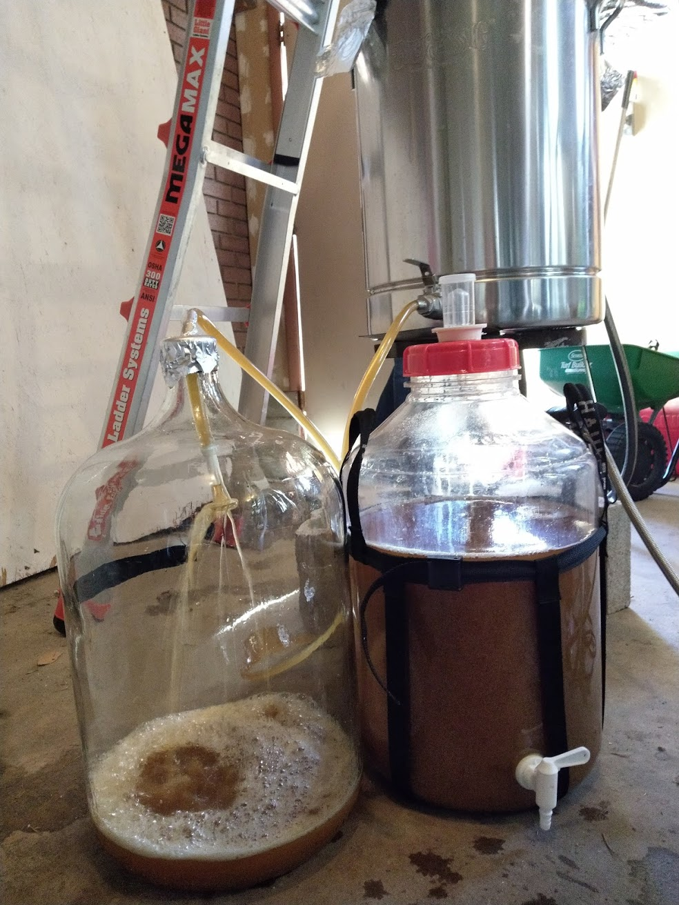 Limitations: Beer 2 (Pale Ale/Lager) | Brew U